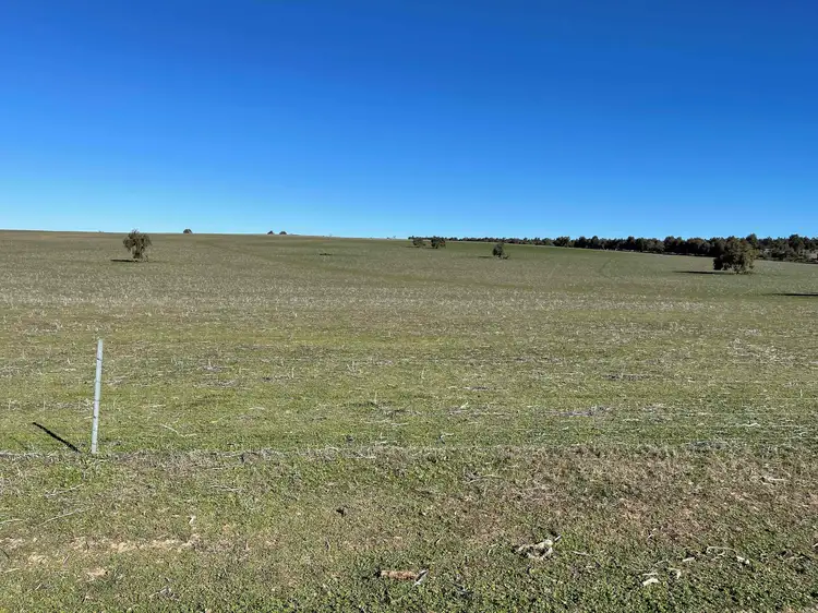 Fourth view of Homely rural property listing, 201 Mahomet Road, Dandaragan WA 6507