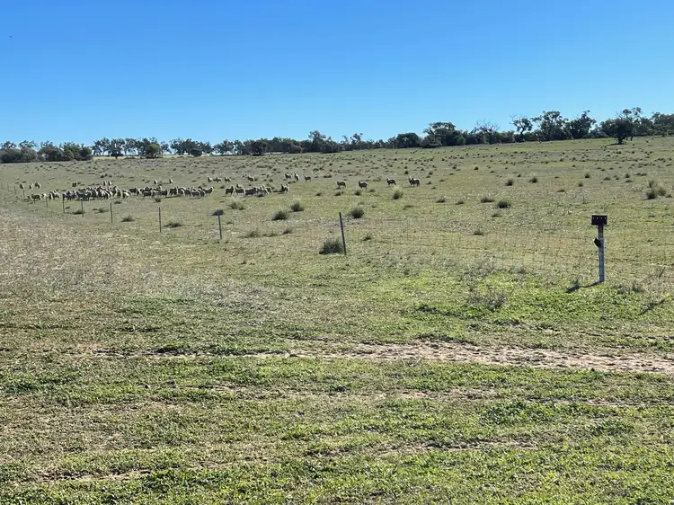 Sixth view of Homely rural property listing, 201 Mahomet Road, Dandaragan WA 6507