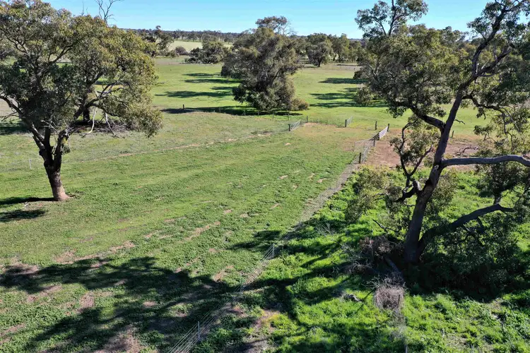 Seventh view of Homely rural property listing, 201 Mahomet Road, Dandaragan WA 6507