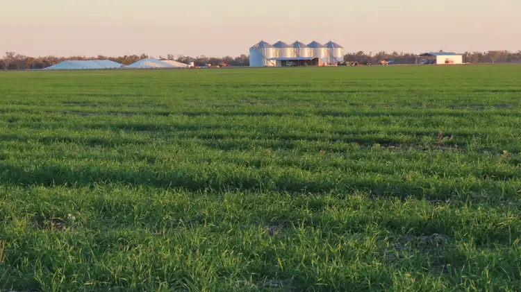 'Welltown' Barwon Highway, Goondiwindi QLD 4390