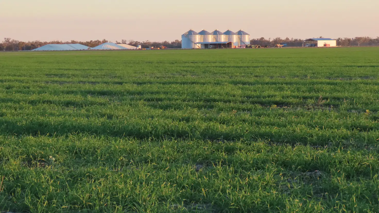Main view of Homely rural property listing, 'Welltown' Barwon Highway, Goondiwindi QLD 4390