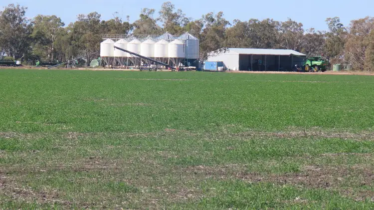 Fifth view of Homely rural property listing, 'Welltown' Barwon Highway, Goondiwindi QLD 4390