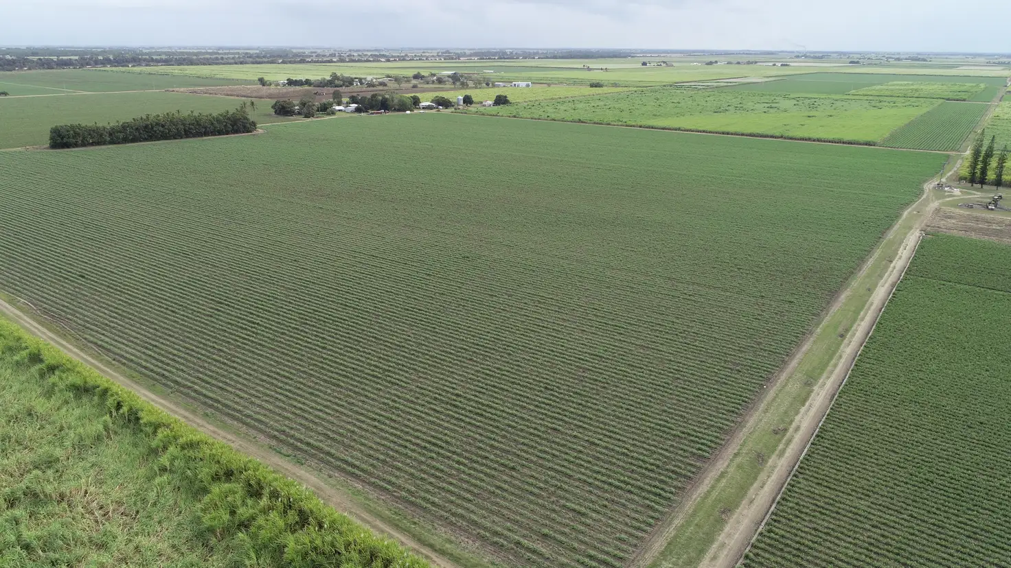 Main view of Homely rural property listing, 889 Kirknie Road, Osborne QLD 4806