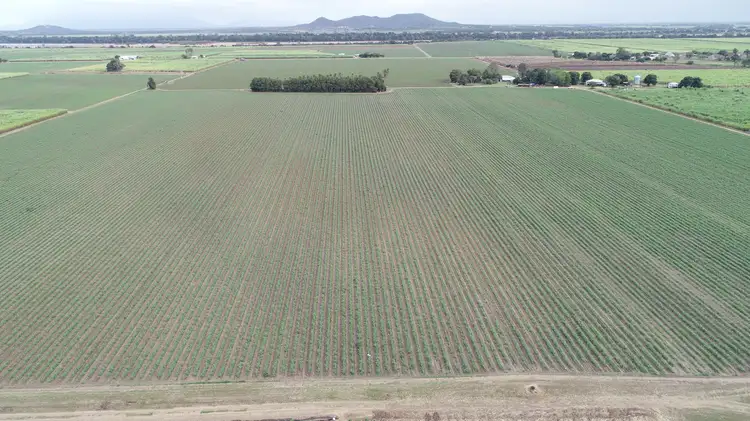 Fourth view of Homely rural property listing, 889 Kirknie Road, Osborne QLD 4806