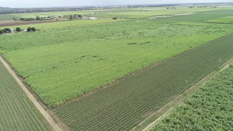 Seventh view of Homely rural property listing, 889 Kirknie Road, Osborne QLD 4806