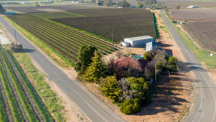 Second view of Homely rural property listing, 339 Hunt Road, Barmera SA 5345