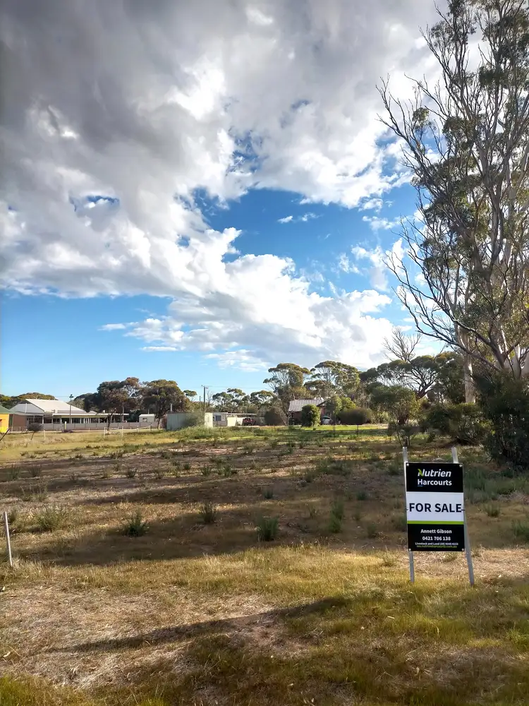 Main view of Homely land listing, LOT 74 George Street, Doodlakine WA 6411