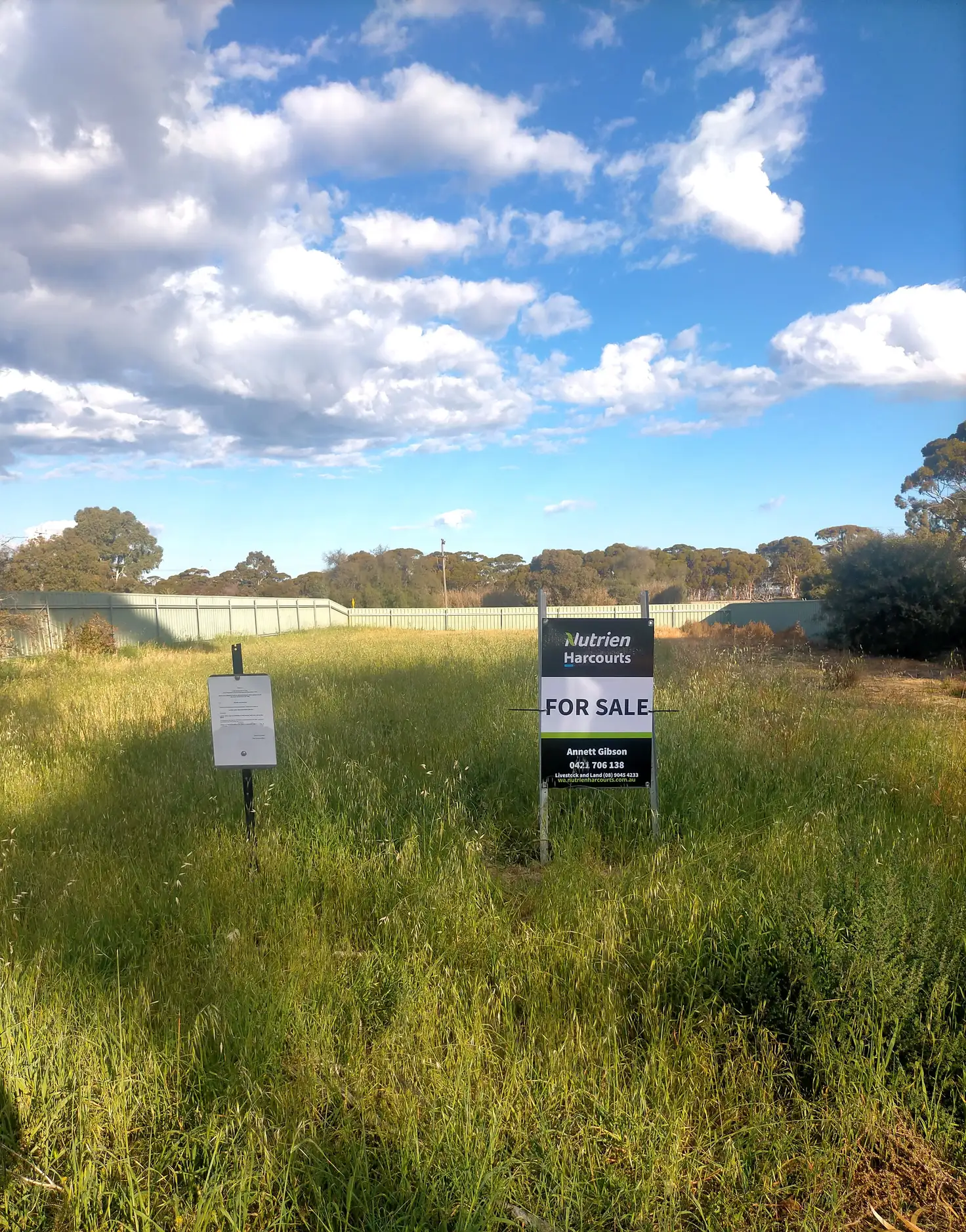 Main view of Homely land listing, LOT 501 Leake Street, Doodlakine WA 6411