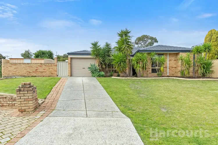 Main view of Homely house listing, 48 Adelaide Circle, Craigie WA 6025
