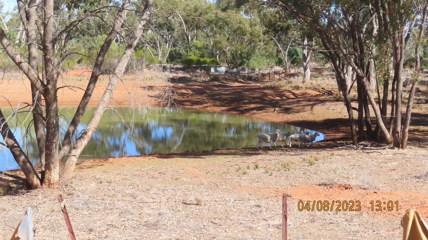 Main view of Homely rural property listing, * Mudlark, Cobar NSW 2835