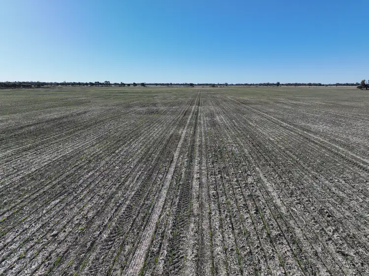 Main view of Homely rural property listing, 173 Forest Way, Wee Waa NSW 2388