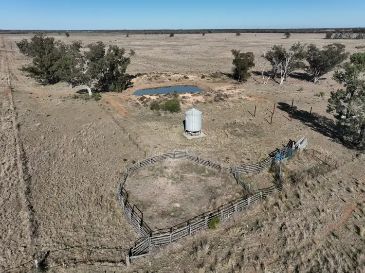 Sixth view of Homely rural property listing, 173 Forest Way, Wee Waa NSW 2388