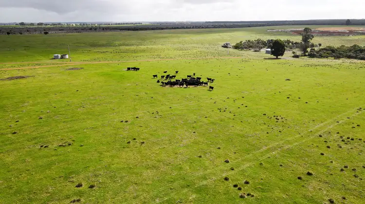 Second view of Homely rural property listing, 213 Dempster Road, Gibson WA 6448