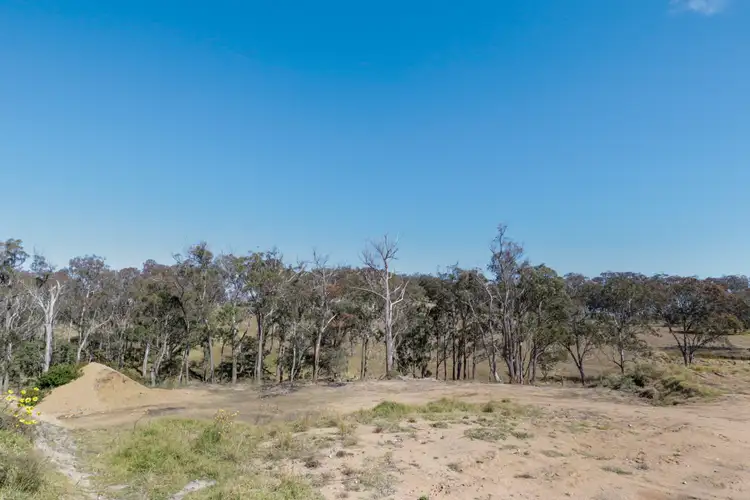 Fourth view of Homely rural property listing, 947 Black Swamp Road, Tenterfield NSW 2372