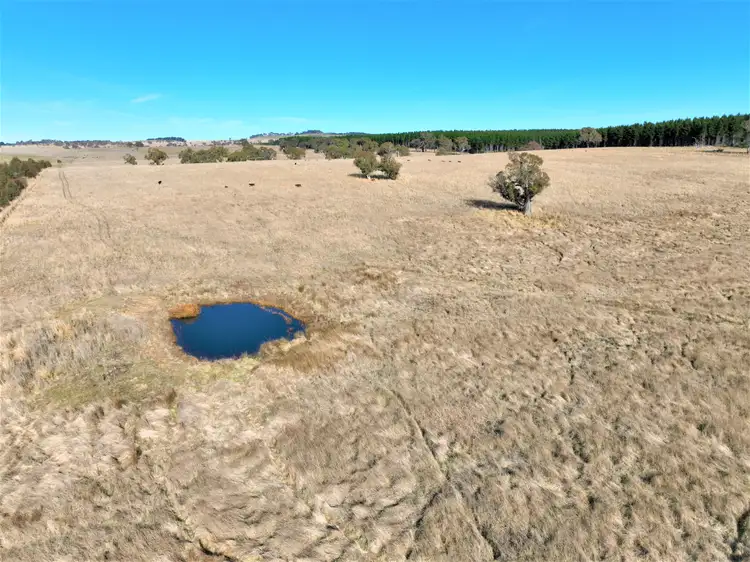 Fourth view of Homely rural property listing, Lot 3 Dundundra Road, Lords Hill NSW 2632