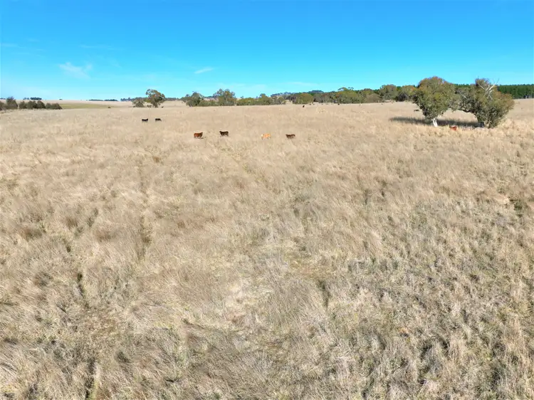 Fifth view of Homely rural property listing, Lot 3 Dundundra Road, Lords Hill NSW 2632