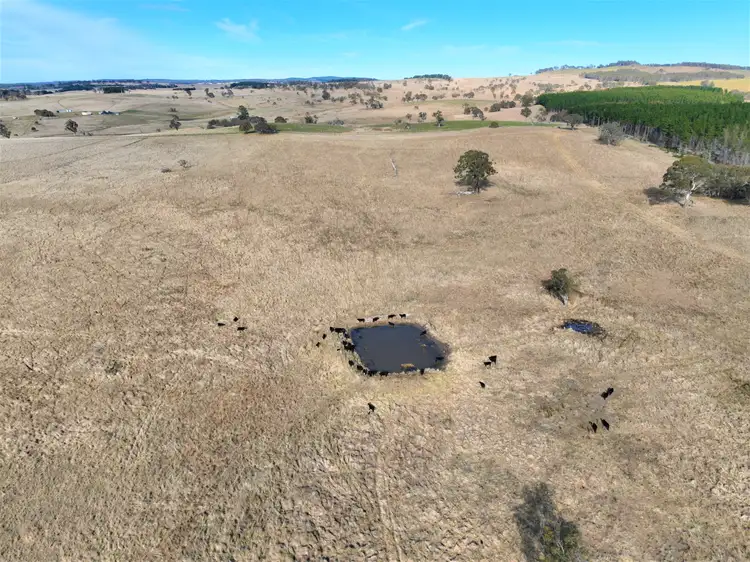 Seventh view of Homely rural property listing, Lot 3 Dundundra Road, Lords Hill NSW 2632