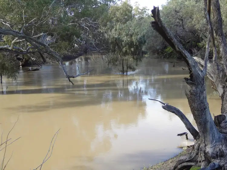 Third view of Homely rural property listing, "YARRUM"/4483 Conargo Road, Conargo NSW 2710