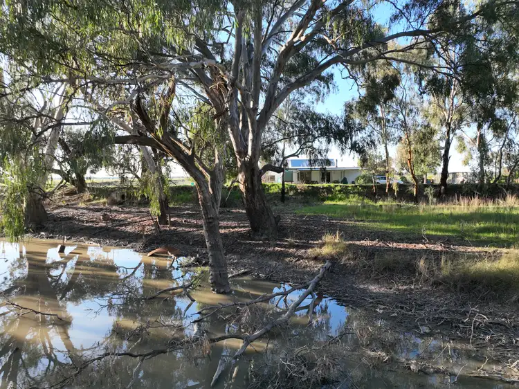Fourth view of Homely rural property listing, "YARRUM"/4483 Conargo Road, Conargo NSW 2710