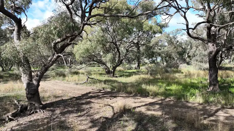 Fifth view of Homely rural property listing, "YARRUM"/4483 Conargo Road, Conargo NSW 2710