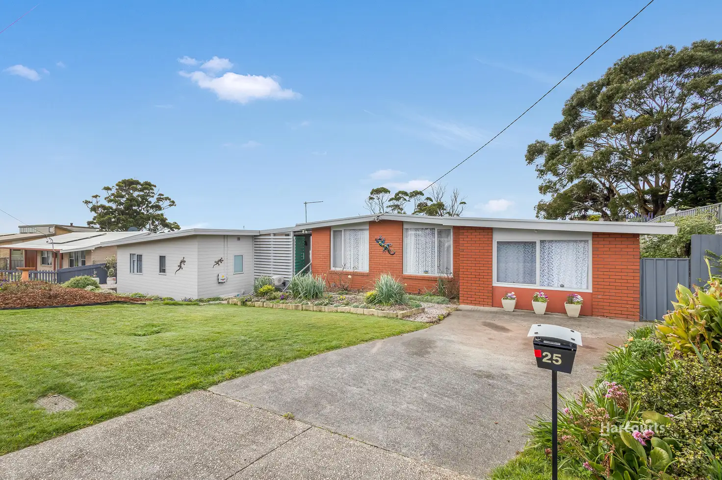 Main view of Homely house listing, 25 Pineleigh Street, Penguin TAS 7316