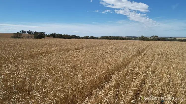 Main view of Homely rural property listing, . Pine Road, Skipton VIC 3361