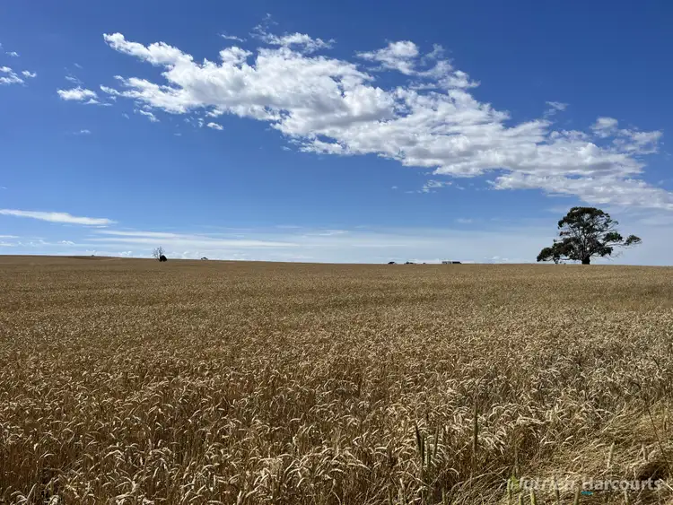 Third view of Homely rural property listing, . Pine Road, Skipton VIC 3361