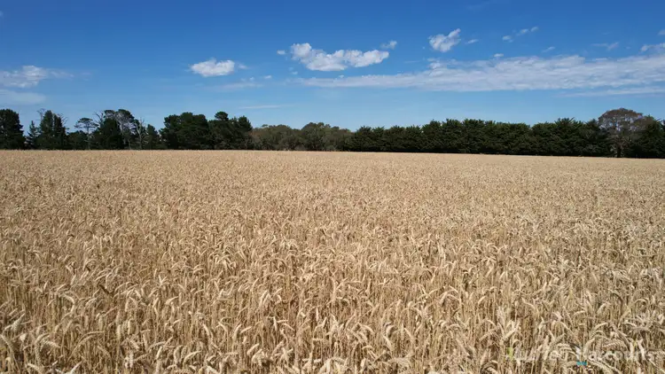 Fourth view of Homely rural property listing, . Pine Road, Skipton VIC 3361