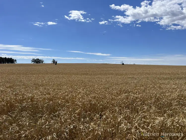 Fifth view of Homely rural property listing, . Pine Road, Skipton VIC 3361