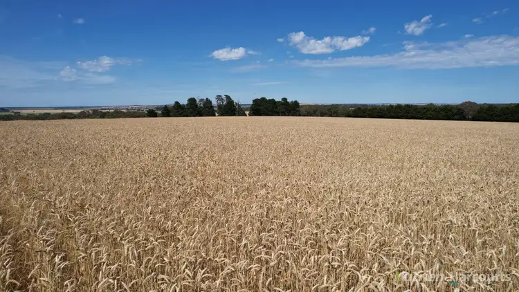 Sixth view of Homely rural property listing, . Pine Road, Skipton VIC 3361