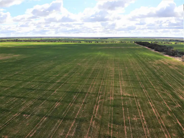 Third view of Homely rural property listing, * North West Angle Road, Carwarp VIC 3494