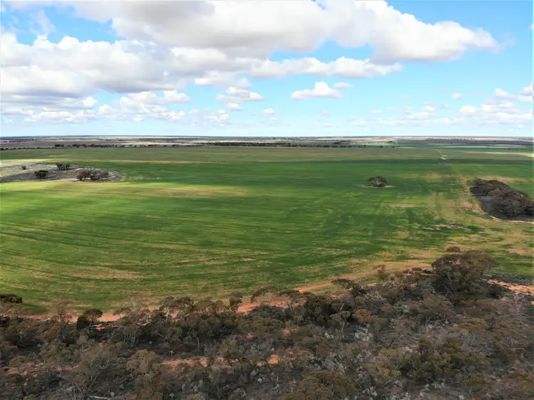 Sixth view of Homely rural property listing, * North West Angle Road, Carwarp VIC 3494