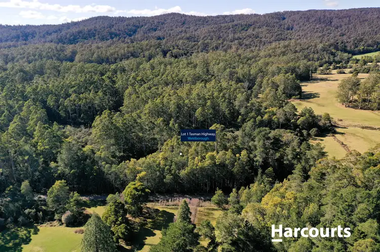 Main view of Homely land listing, 5 Main Road, Weldborough TAS 7264