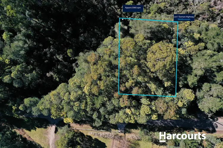 Second view of Homely land listing, 5 Main Road, Weldborough TAS 7264