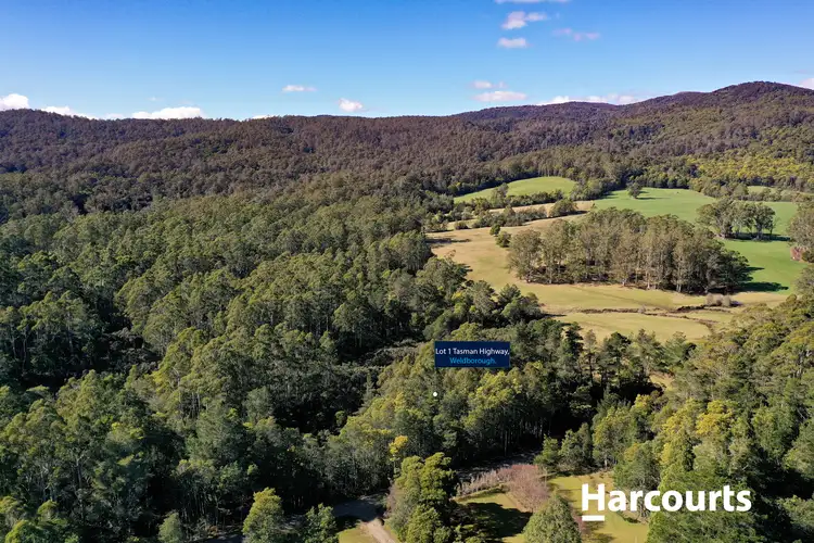 Third view of Homely land listing, 5 Main Road, Weldborough TAS 7264