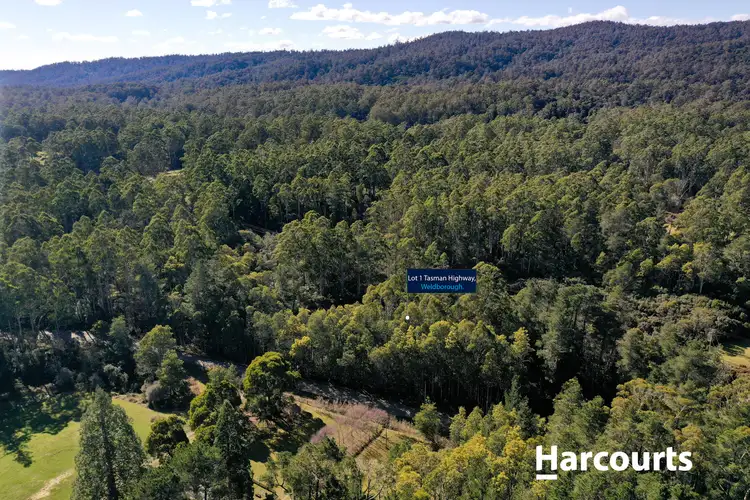Fourth view of Homely land listing, 5 Main Road, Weldborough TAS 7264