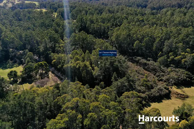 Fifth view of Homely land listing, 5 Main Road, Weldborough TAS 7264