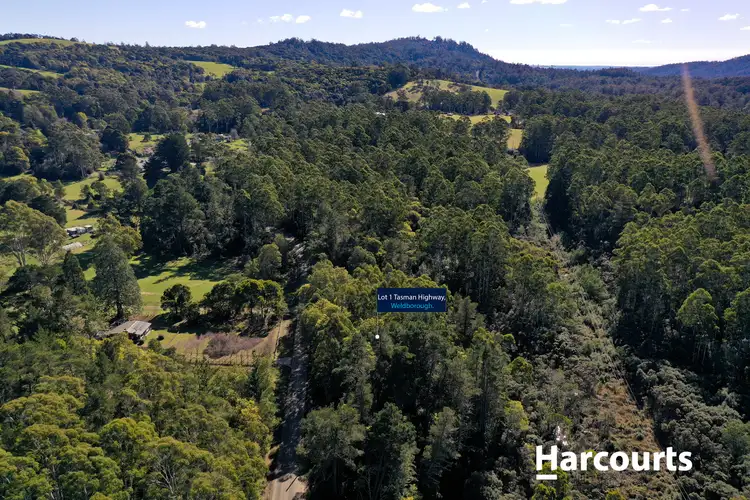 Sixth view of Homely land listing, 5 Main Road, Weldborough TAS 7264
