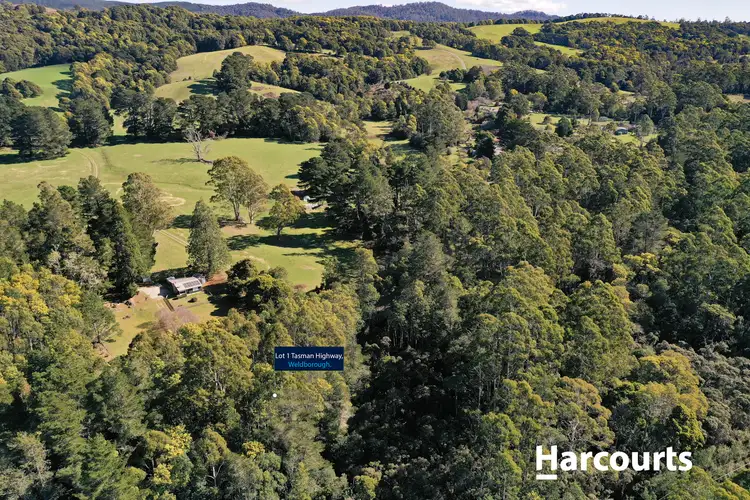 Seventh view of Homely land listing, 5 Main Road, Weldborough TAS 7264