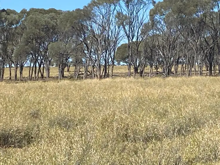 "Laidlaw", Melton Road, Longreach QLD 4730