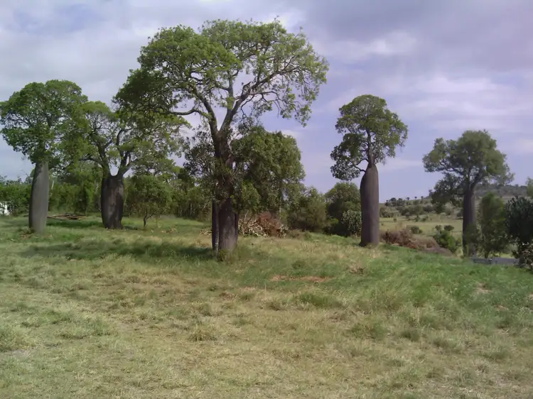 Sixth view of Homely rural property listing, Address available on request