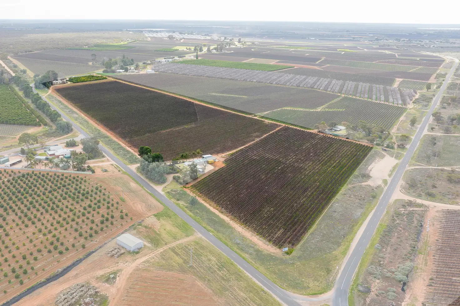 Main view of Homely house listing, 12 Cooltong Avenue, Renmark SA 5341