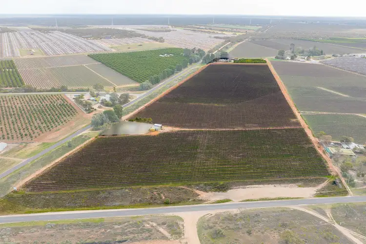 Fourth view of Homely house listing, 12 Cooltong Avenue, Renmark SA 5341