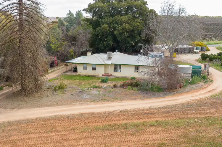 Fifth view of Homely house listing, 12 Cooltong Avenue, Renmark SA 5341