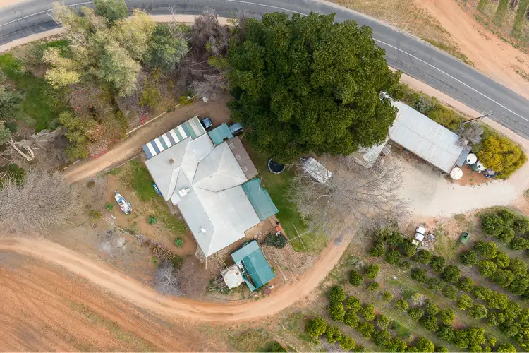 Sixth view of Homely house listing, 12 Cooltong Avenue, Renmark SA 5341