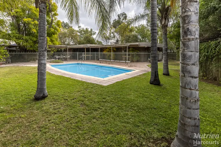 11 Francis Street, Gillen NT 870