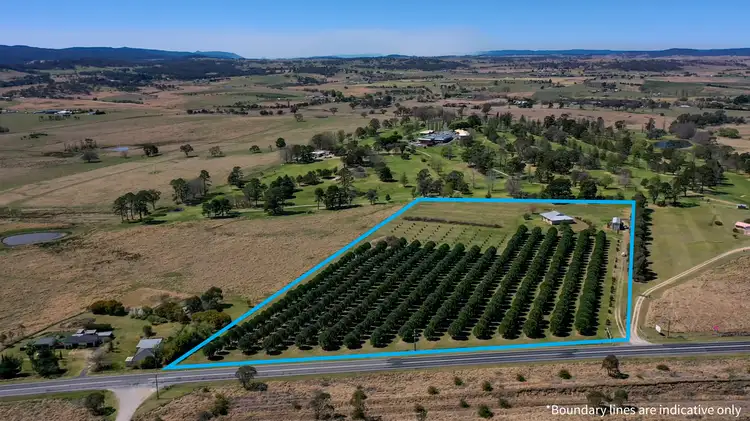 Main view of Homely house listing, 362 New England Highway, Tenterfield NSW 2372
