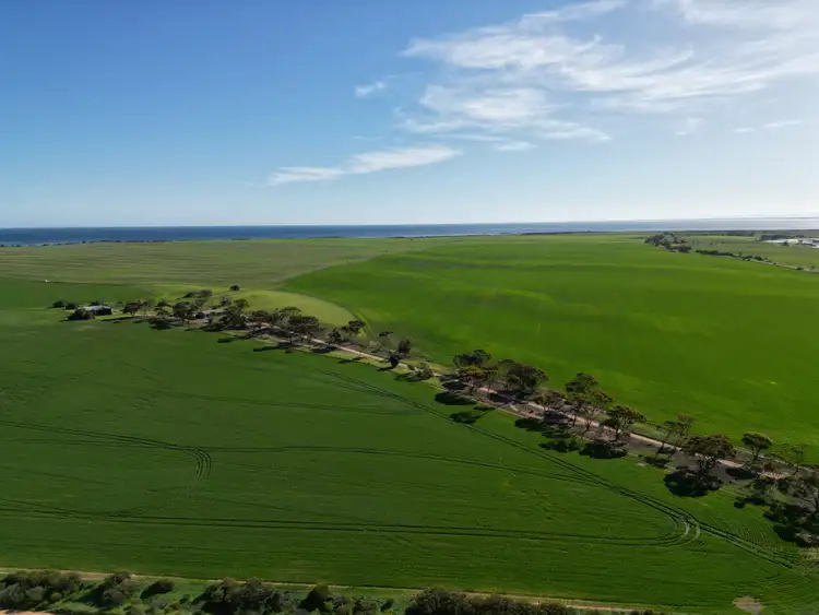 Fourth view of Homely rural property listing, 313 Sunnyside Road, Port Broughton SA 5522