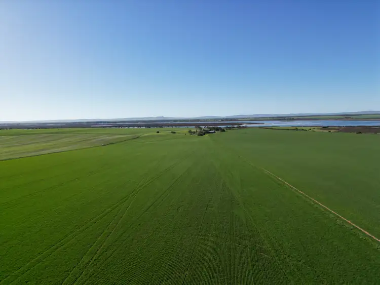 Sixth view of Homely rural property listing, 313 Sunnyside Road, Port Broughton SA 5522