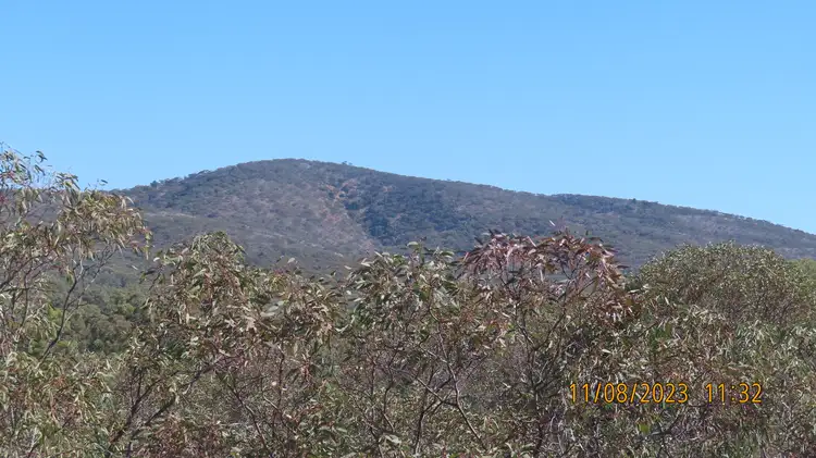 * Wilga Wood, Cobar NSW 2835